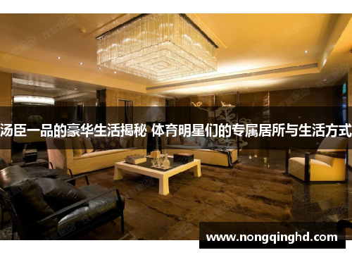汤臣一品的豪华生活揭秘 体育明星们的专属居所与生活方式