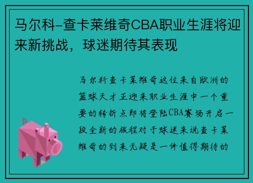 马尔科-查卡莱维奇CBA职业生涯将迎来新挑战，球迷期待其表现